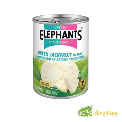 Twin Elephants Green Jackfruit 540g