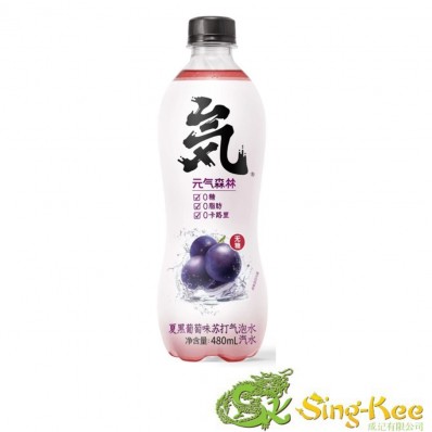 GKF Sparkling Water- Grape Flavour 480ml