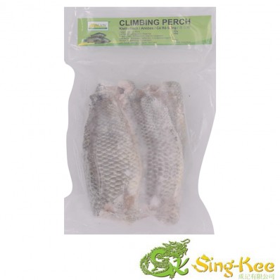 Kim Son Climbing Perch 500g