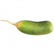 Green Oriental Radish 1KG