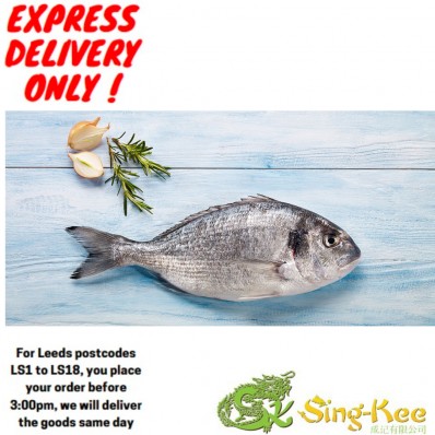 Frozen Seabream medium size(3 pcs)