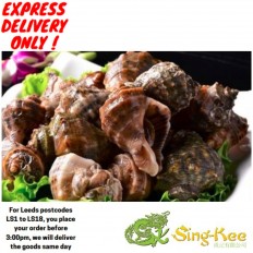 鲜活 东风螺(1 kg)