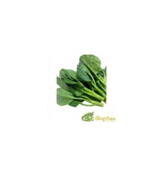 Local Kai Lan 500g