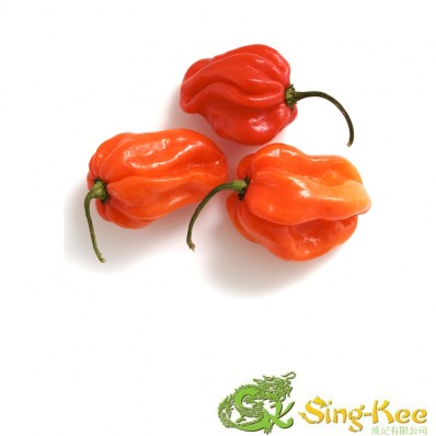 Scotch Bonnet 500g