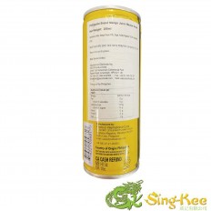 Philippine Brand Mango Nectar Juice 250ml 2