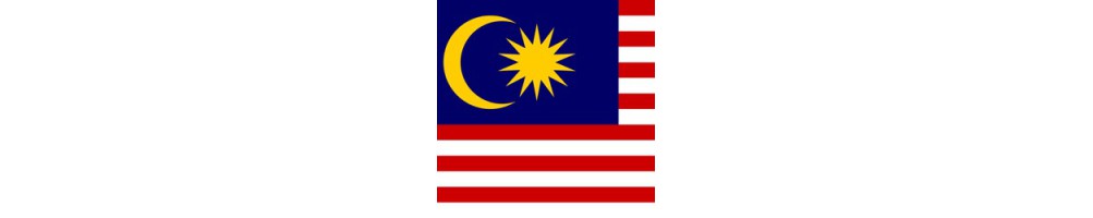 Malaysian - zh